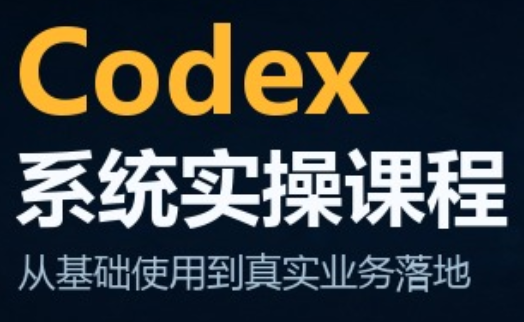codex系统实操课程(更新10月)-优优云创网