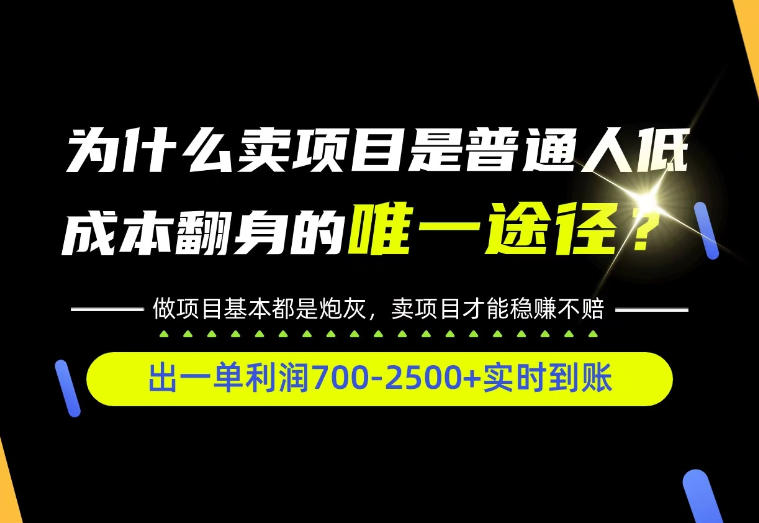 普通人如何靠互联网賺取自己的第一桶金！全类目实操型教学，看完你全都懂了！【揭秘】-优优云创网