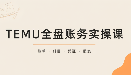 TEMU全盘账务实操课：账单导出、科目设置、利润核算-优优云创网