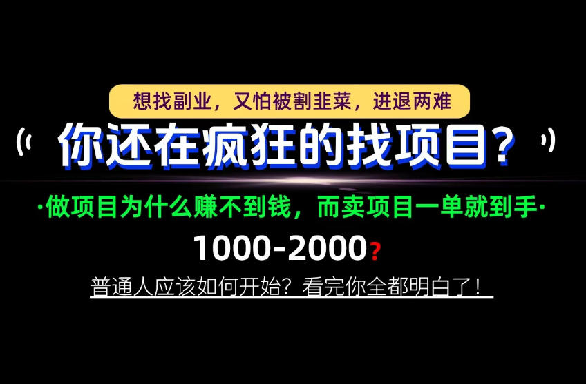 你还在疯狂的找项目？别傻了！卖项目才是真正的一本万利！怎么做，看完你全都明白！【揭秘】-优优云创网
