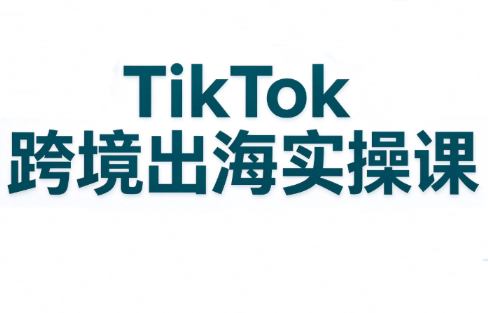 彭老师·TikTok跨境出海实操课-优优云创网