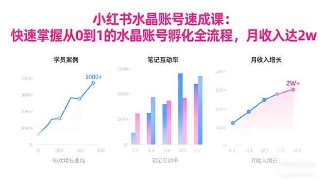 (16476期)2025小红书水晶账号速成课:快速掌握从0-1水晶账号孵化全流程,月收入达2w (16476期)2025小红书水晶账号速成课:快速掌握从0-1水晶账号孵化全流程,月收入达2w