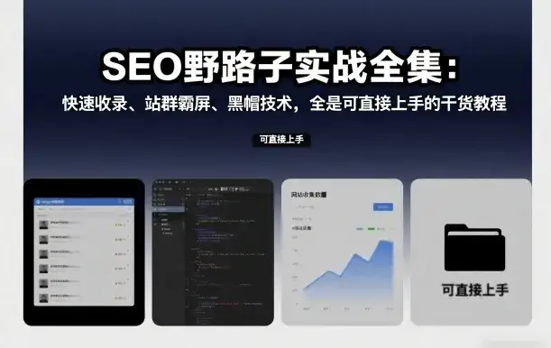 SEO野路子实战全集:快速收录、站群霸屏、黑帽技术,全是可直接上手的干货教程 SEO野路子实战全集:快速收录、站群霸屏、黑帽技术,全是可直接上手的干货教程