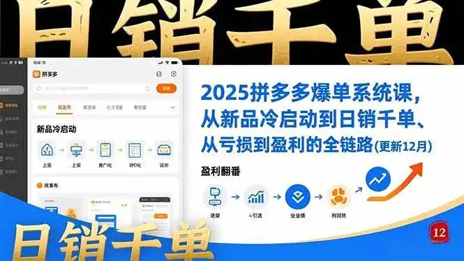 （16894期）2025拼多多爆单系统课，从新品冷启动到日销千单、从亏损到盈利的全链路（更新12月）-优优云创网