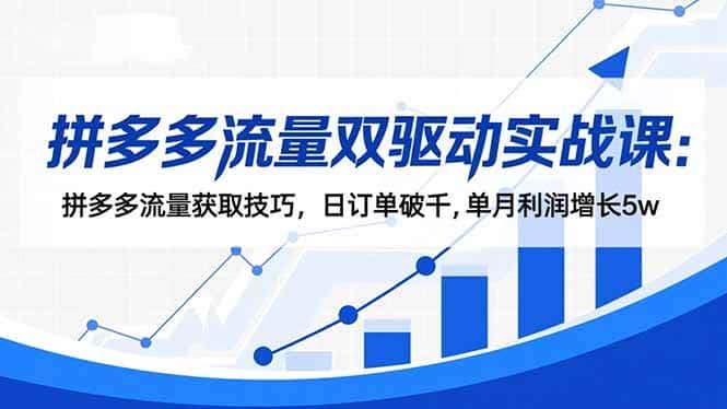 (16563期)拼多多流量双驱动实战课:拼多多流量获取技巧,日订单破千,单月利润增长5w (16563期)拼多多流量双驱动实战课:拼多多流量获取技巧,日订单破千,单月利润增长5w