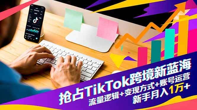 （16640期）抢占TikTok跨境新蓝海：流量逻辑+变现方式+账号运营，新手月入1万+-优优云创网