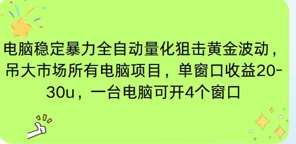 （16737期）电脑EA策略挂机项目单窗口收益20-30u，单电脑可挂5-10个窗口收益稳健4位数-优优云创网