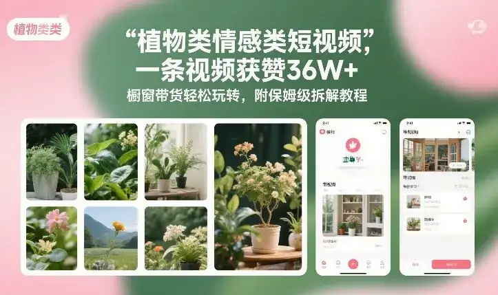 植物类情感类短视频，一条视频获赞36W+，橱窗带货轻松玩转，附保姆级拆解教程-优优云创网
