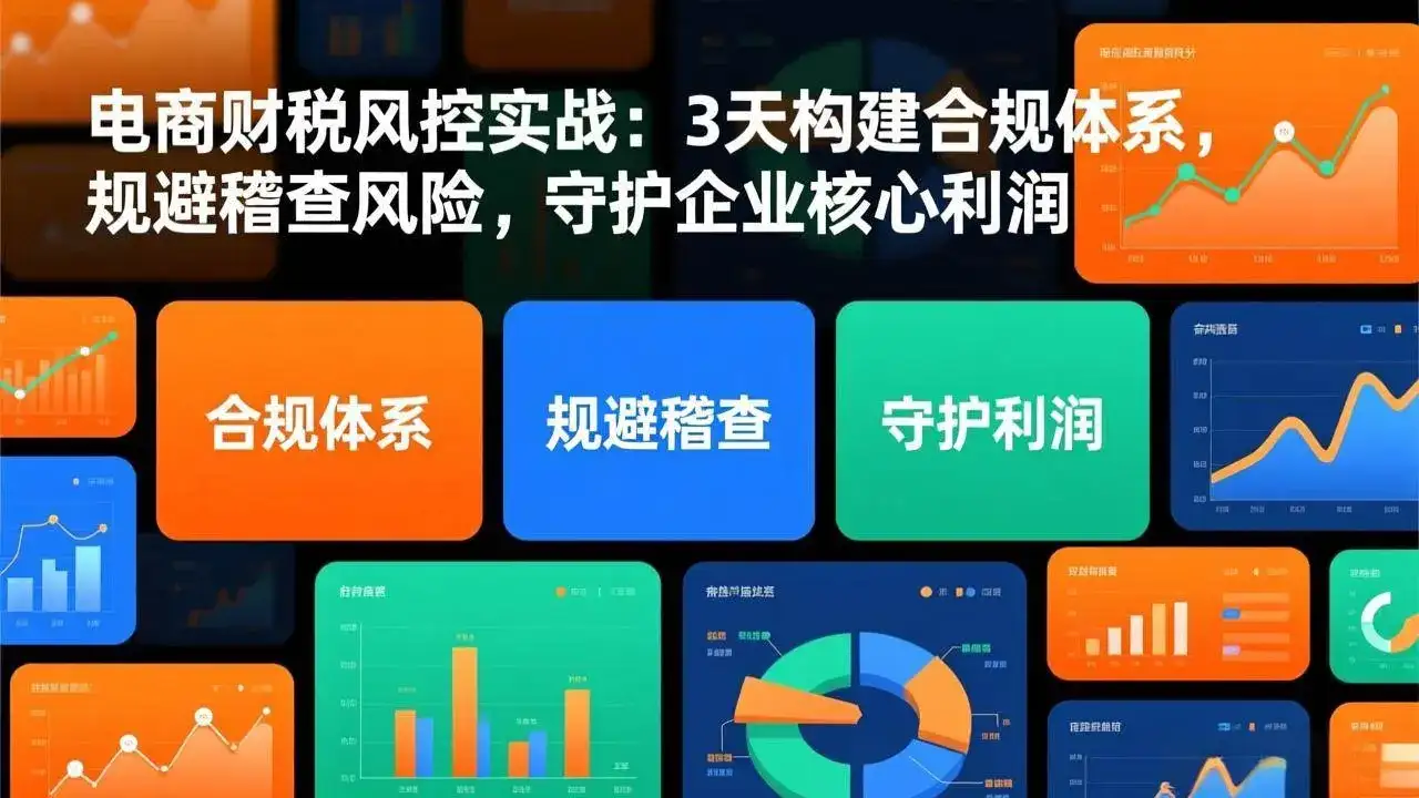 (17197期)电商财税风控实战:3天构建合规体系,规避稽查风险,守护企业核心利润-优优云创网