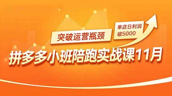 (16654期)拼多多小班陪跑实战课11月,强付费矩阵、原价活动、暗券引流,突破运营瓶颈,单店日利润破5000 (16654期)拼多多小班陪跑实战课11月,强付费矩阵、原价活动、暗券引流,突破运营瓶颈,单店日利润破5000