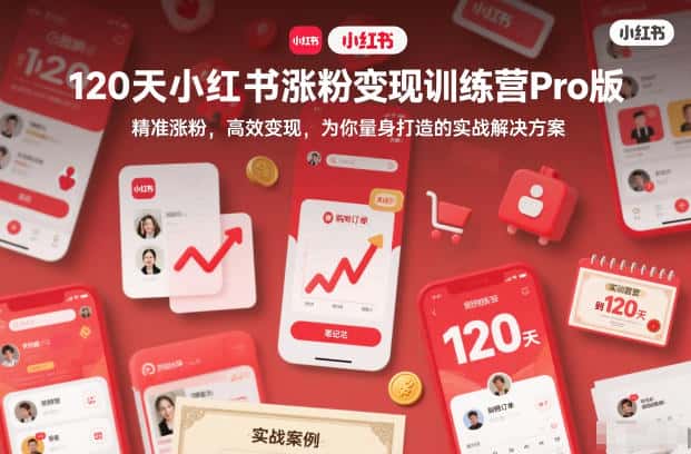 120天小红书涨粉变现训练营Pro版,精准涨粉,高效变现,为你量身打造的实战解决方案 120天小红书涨粉变现训练营Pro版,精准涨粉,高效变现,为你量身打造的实战解决方案