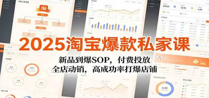 2025淘宝爆款私家课：新品到爆SOP，付费投放，全店动销，高成功率打爆店铺-优优云创网