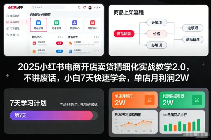2025小红书电商开店卖货精细化实战教学2.0，不讲废话，小白7天快速学会，单店月利润2W-优优云创网