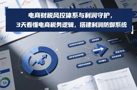 【精】电商财税风控体系与利润守护，3天看懂电商税务逻辑，搭建利润防御系统-优优云创网