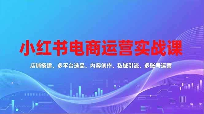 （16695期）小红书电商运营实战课，店铺搭建、多平台选品、内容创作、私域引流、多账号运营等玩法-优优云创网